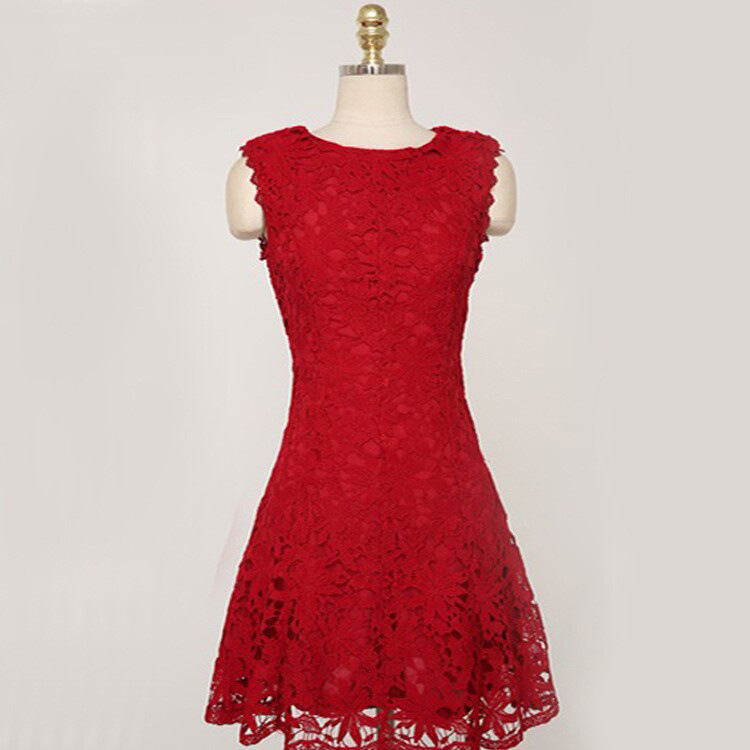 Red Embroidered Lace Sleeveless Dress on Luulla